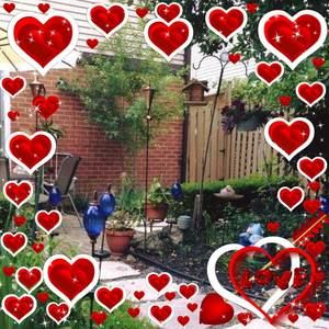 Meet your Posher, Silvia